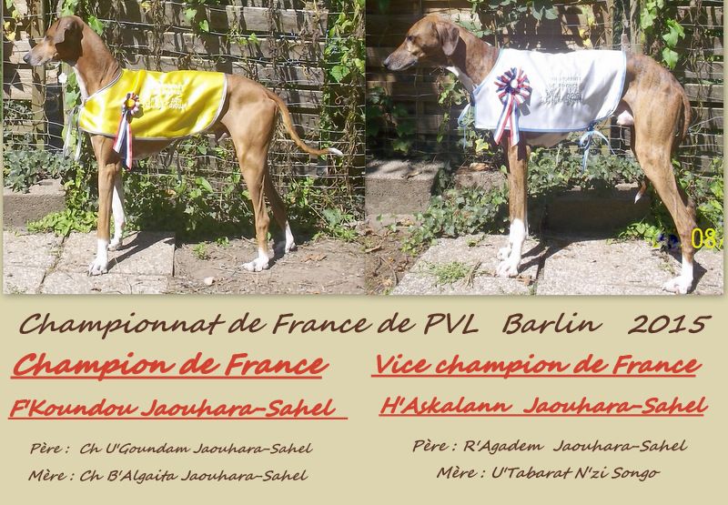 Jaouhara Sahel - Championnat de France de PVL Barlin  2015